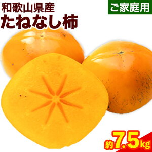 yӂ邳Ɣ[ŁzyH̖oza̎RY ˂Ȃ` ƒp 7.5kg s2025N9{-11{oח\t a̎R  I  Ȃ 󂠂` ƒp` ˂Ȃ` ` JL 