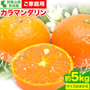 �y�ӂ邳�Ɣ[�Łz�y���ƒ�p�z�y�Z���t�݂���z�a�̎R�� �L�c�Y �J���}���_���� ��5kg ( �T�C�Y���܂��� ) ���I�� �s2026�N4����{-5�����{���o�ׁt �a�̎R�� ������ �������� ���k ���k�� �I