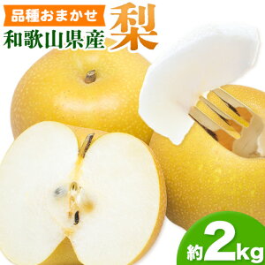 yӂ邳Ɣ[Łza̎RY   2kg (i킨܂) Iفs2025N8-10oׁta̎R  ʕ t[c  Ȃ iV 