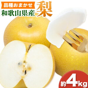 yӂ邳Ɣ[Łza̎RY  Iׂ  2kg  4kg (i킨܂) Iفys\zs2026N8{-9{oׁta̎R  ʕ t[c  Ȃ iV 