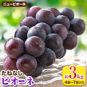 yӂ邳Ɣ[Łzys\z˂Ȃ sI[l Iׂe 1.2kg 2kg 3kg I s2026N8{-9{oח\t a̎R  t[c Ԃǂ sI[l ˂Ȃ a̎R