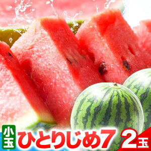 yӂ邳Ɣ[Łza̎RY ʂ ЂƂ肶7(Zu) 2ʓ 3.5kgȏ Iفs2026N6{-7{oׁt a̎R  XCJ Z 
