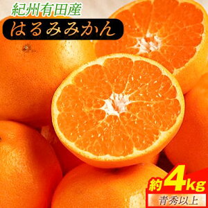 yӂ邳Ɣ[ŁzyIEZzIBLcŶ͂ݖ4kg(TCY܂)s2026N1{-2{oח\ta̎R  ݂ ͂ I k t[c 