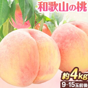 yӂ邳Ɣ[Łza̎R  GIi  2kg  4kg Iفyzsn悠zs2026N6{-8{蔭\tʐD / Gi a̎R  ʕ t[c   