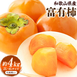 yӂ邳Ɣ[ŁzI a̎RY  xL` 4kg 2L`4LTCY ϔ I s11{-12oׁta̎R   ʕ t[c 