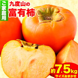 yӂ邳Ɣ[Łzqƒpr `̖Yn xR̕xL` 7.5kg Iفs2025N11{-12{oׁta̎R  ` JL t[c W[V[