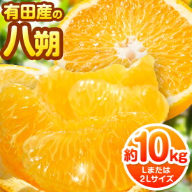 【ふるさと納税】【手選果】有田産の八朔 10kg（Lまたは2Lサイズいずれかお届け） 厳選館 《2027年1月下旬-2月下旬頃出荷》和歌山県 日高町