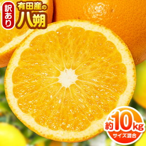 yӂ邳Ɣ[ŁyIʁE󂠂zLcY̔ 10kgiTCYj I s2026N1{-2{oׁta̎R  ͂ 󂠂͂ nbTN