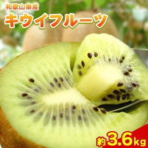 yӂ邳Ɣ[ŁzGi a̎R̉Âō̂ꂽ LECt[c 3.6kgiʐ܂js2026N1{-3{oׁta̎R  LEC LECt[c Gi