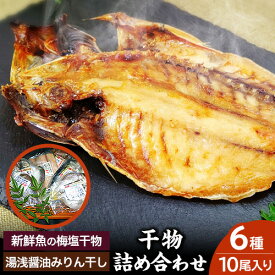 【ふるさと納税】新鮮魚の梅塩干物と湯浅醤油みりん干し 6品種10尾入りの 詰め合わせ (和歌山近海産の新鮮魚使用) 日高町厳選館《90日以内に出荷予定(土日祝除く)》和歌山県 日高町 魚 さかな 干物 6種 10尾 さば 真あじ 太刀魚 いさぎ うおぜ さんま みりん干し 送料無料