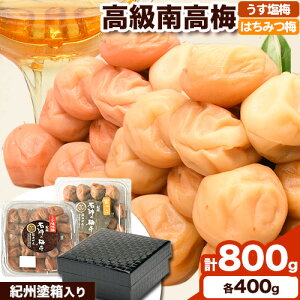 yӂ邳Ɣ[Łz  썂~  ݂͂~ v800g (e400g) ԑ͗ldグ IBh VЁs90ȓɏoח\(yj)ta̎R   ~  E 썂~ 