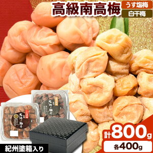 yӂ邳Ɣ[Łz 썂~ ~E~ v800g(e400g) ԑ͗ldIBh VЁs90ȓɏoח\(yj)ta̎R  ~  ~ ~ 