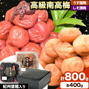 yӂ邳Ɣ[Łz썂~ ~EД~ v800g (e 400g ) ԑ͗ldIBh VЁs90ȓɏoח\(yj)ta̎R  ~  ~ ~ 