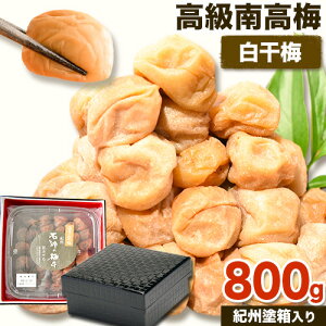 yӂ邳Ɣ[Łz  썂~  Ђ~ ݂͂~ ~ ԑ͗ldグ IBh 800g VЁs90ȓɏoח\(yj)ta̎R   ~  