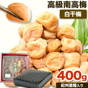 yӂ邳Ɣ[Łz  썂~  Ђ~ ݂͂~ ~ ԑ͗ldグ IBh 400g VЁs90ȓɏoח\(yj)ta̎R   ~  