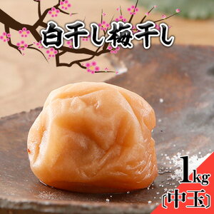 yӂ邳Ɣ[Łz ~ ~ 1kg  2L a̎RY ЂƂTY s30ȓɏoח\(yj)t a̎R  ~   ~ ߂ڂ IB썂~ Е 