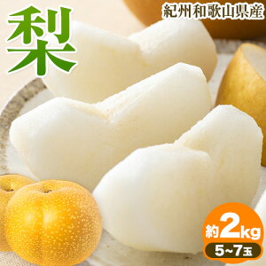 yӂ邳Ɣ[ŁzIBa̎RY̗ 2kg 5`7 ϔ ߏXys\zs8{-9{蔭\(yj)ta̎R  a̎RY  Ȃ iV 蕨 Mtg