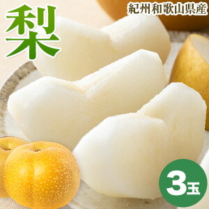 yӂ邳Ɣ[ŁzIBa̎RY̗ 3 ϔ ߏXys\zs8{-9{蔭\(yj)ta̎R  a̎RY  Ȃ iV 蕨 Mtg