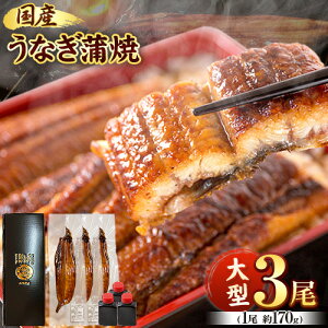 yӂ邳Ɣ[Łz^TCY ӂ_炩Y Ȃ Ă Iׂ 1 2 3 ϔ(^pbN) ЋߏXs30ȓɏoח\(yj)t a̎R  Ȃ V