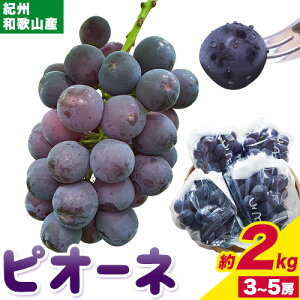yӂ邳Ɣ[ŁzIBa̎RY sI[l 2kg 3[-5[ ߏX ys\zs8{-9{oׁt a̎R  t[c Ԃǂ  2kg a̎RY 