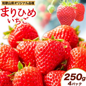 yӂ邳Ɣ[ŁzIBa̎Ruhu܂Ђ߁v250g×4pbN v1kg ЋߏXs2026N3{-3{oׁta̎R    ܂Ђ t[c ʕ XC[