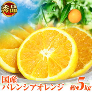 yӂ邳Ɣ[ŁzyGizs\񁦊󏭂ȍYoVAIW Iׂ 2.5kg 5kg  ߏXs2026N6{`7{oׁta̎R  IW k t[c ʕ