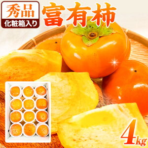 yӂ邳Ɣ[Łzs\񁄏Gi a̎R H̖o xL` 4kg ϔ ЋߏXs2025N11{-12{oׁta̎R  ` xL` t[c
