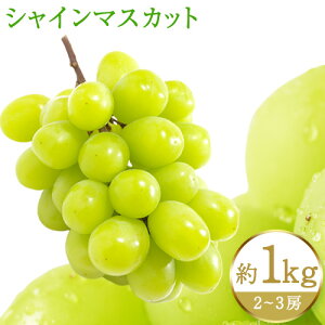 yӂ邳Ɣ[ŁzIBa̎RY VC}XJbg Iׂ  1kg  2kg ߏXs2026N8{-9{oׁt}XJbg a̎R  蕨 Mtg Ԃǂ VC}XJbg
