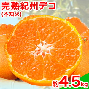 yӂ邳Ɣ[Łzys\zuhc̊nIBfR(sm) 4.5kg  ߏXs2026N2{-3{oׁta̎R  cn sm k ʕ t[c u