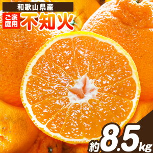 yӂ邳Ɣ[ŁzyƒpzIBLcY sm ( ʂ ) Iׂe 3kg 6kg 8.5kg ߏX s2{-3{oׁt a̎R  sm k ʕ t[c fR|Ɠ