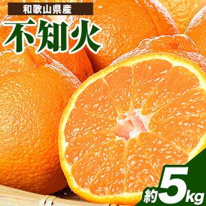 yӂ邳Ɣ[Łzys\zIBLcYsm( fR| Ɠi ) Iׂ e  2.5kg 5kg ЋߏXs2026N2{-3oח\t a̎R  sm ʂ 