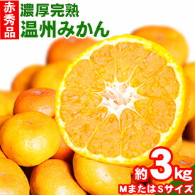 【ふるさと納税】【先行予約】赤秀品　紀州有田産 濃厚完熟温州みかん 3kg(MサイズまたはSサイズ) 魚鶴商店《2024年11月下旬-2025年2月上旬頃出荷予定》和歌山県 日高町 みかん ミカン 蜜柑 フルーツ 柑橘