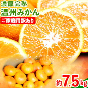 �y�ӂ邳�Ɣ[�Łz�y��s�\��z�y���ƒ�p��A���z �I�B�L�c�Y �Z�����n���B�݂��� ��7.5kg ���ߏ��X�s2026�N11�����{-2027�N1�����{���o�ׁt �a�̎R�� ������ �݂��� ���B�݂��� ���n �Z�� ���k