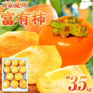 yӂ邳Ɣ[Łzyƒp󂠂z a̎R H̖o xL` 3.5kg ЋߏXs2025N11{-12{oׁta̎R  ` xL` t[c
