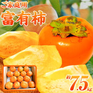 yӂ邳Ɣ[Łzs\񁖁yƒp킯z a̎R H̖o xL` 7.5kg ЋߏXs2025N11{-12{oׁta̎R  ` xL` t[c