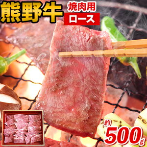 yӂ邳Ɣ[ŁzF싍 [X ēp 500g Rt V(Meat Factory)s30ȓɏoח\(yj)t a̎R  F싍    [X ē R 