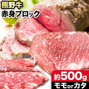 yӂ邳Ɣ[ŁzF싍 ԐgubN ܂̓J^ 500g Rt V(Meat Factory)s30ȓɏoח\(yj)t a̎R  F싍    Ԑg ubN R 