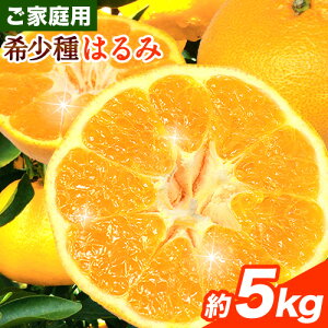 yӂ邳Ɣ[Łz݂ ͂ ƒp Iׂe 1kg+250g 2.5kg+250g 5kg+250g 10kg+250g ݕ⏞ TCY rc_@s2{-3oׁta̎R  t[c ʕ 