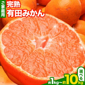 【ふるさと納税】家庭用 完熟 有田みかん 1kg 2.5kg 5kg 10kg 各＋250g (傷み補償分)【光センサー選果】池田鹿蔵農園@日高町（池田農園株式会社）《11月中旬-1月下旬頃出荷》和歌山県 日高町 訳あり わけあり みかん【配送不可地域あり】
