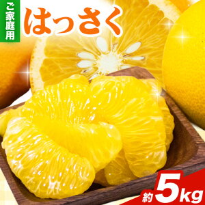 yӂ邳Ɣ[Łz1蔭ƒp 󂠂 ͂  ݂ Iׂ 1kg +250g 2.5kg +250g 5kg +250g 10kg +250g rc_ s2025N1{-3oׁta̎R   