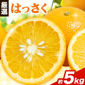 yӂ邳Ɣ[Łz 1蔭 I ͂ Iׂ 1kg +250g 2.5kg +250g 5kg +250g 10kg +250g rc_  s2025N1{-3oׁta̎R   ݂͂  