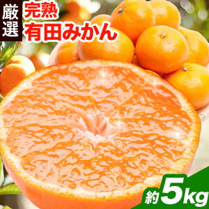 yӂ邳Ɣ[Łzv~A nLc݂ 1kg 2.5kg 5kg 10kg {250g i ݕ⏞ jyZT[Iʁz rc_@irc_Ёjs11{-1{oׁta̎R