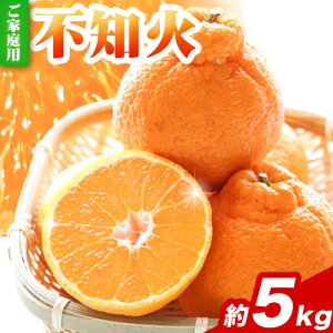 yӂ邳Ɣ[Łz 󂠂 sm fR| i ݂ ƒp Iׂ 1kg 2.5kg 5kg 10kg ݕ⏞t rc_ @ s2{-3oׁta̎R   ʂ 