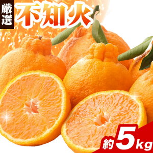 yӂ邳Ɣ[Łz I sm fR| i ݂ Iׂ 1kg 2.5kg 5kg 10kg ݕ⏞t rc_ @ s2{-3oח\ta̎R   ʂ ł