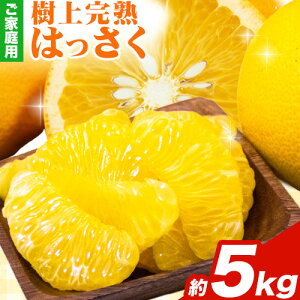 yӂ邳Ɣ[Łz㊮n ƒp 󂠂 ͂  ݂ 1kg+250g 2.5kg+250g 5kg+250g 10kg+250g ݕ⏞ rc_ s4{-5oׁta̎R   ݂͂ 