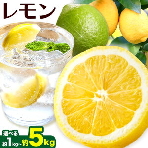 yӂ邳Ɣ[Łz Iׂ  1kg 2.5kg 5kg e{250g (ݕ⏞) a̎R LcY h܁EWAXsgp S Y  rc_@irc_Ёjs9{-4{蔭