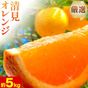 yӂ邳Ɣ[Łzys\z2蔭 I IW Iׂ 1kg+250g 2.5kg+250g 5kg+250g 10kg+250g (ݕ⏞) ZT[I rc_ s2{-3oׁta̎R 