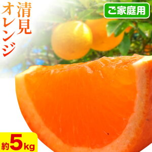 yӂ邳Ɣ[Łzys\z2蔭 ƒp IW Iׂ 1kg+250g 2.5kg+250g 5kg+250g 10kg+250g (ݕ⏞) 󂠂 ƒp ZT[I rc_ s2{-3