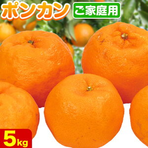 yӂ邳Ɣ[Łzys\z ƒp |J Iׂ 1kg{250g 2.5kg{250g 5kg{250g 10kg{250g (ݕ⏞) ZT[I 󂠂 a̎RY Lc |J rc_ s1-2