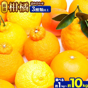 yӂ邳Ɣ[Łzys\z I kl Iׂ 1kg{250g 2.5kg{250g 5kg{250g (ݕ⏞) 3ވȏ Lc̏t݂lߍ킹 ZT[I rc_ s1{-4